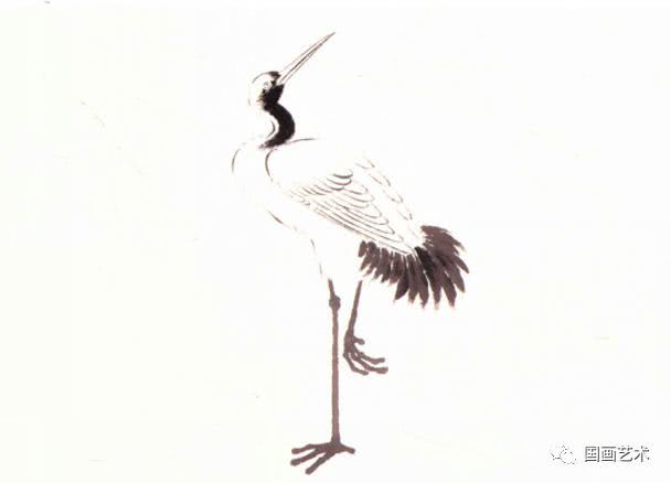 写意国画鹅的详细画法与步骤,工笔翎毛的基本画法