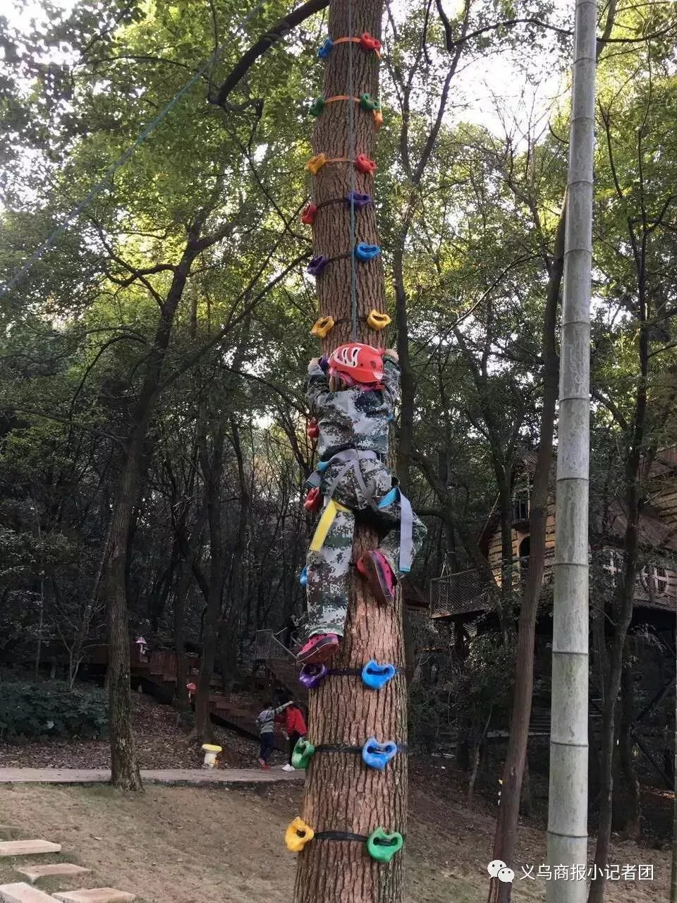 「招募令」寻找爱探险、爱发现的“小童军”——国庆野外生存训练营开始招募！