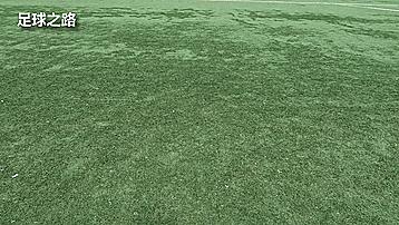 足球运球过人的方法及技巧,彩虹过人技巧讲解视频足球