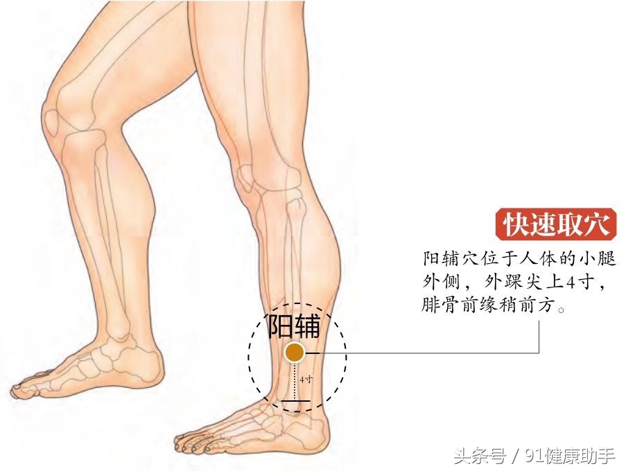 背部穴位清热,穴位治疗浑身无力四肢酸软