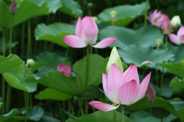 工作里的同事老爱和你抬杠,怎么解决掉跟你抬杠的同事