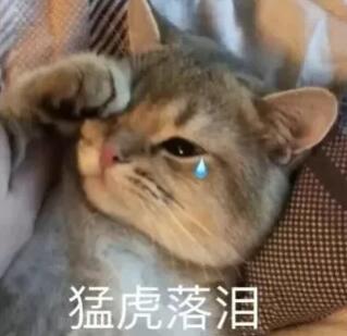 在琴行当老师要求高吗,琴行贝斯老师