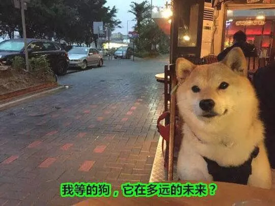 在琴行当老师要求高吗,琴行贝斯老师