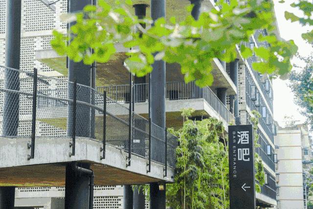 成都出行攻略最全推荐,成都最新最全游玩攻略