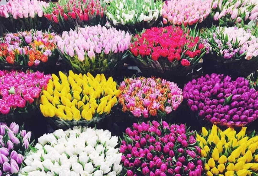 成都出行攻略最全推荐,成都最新最全游玩攻略