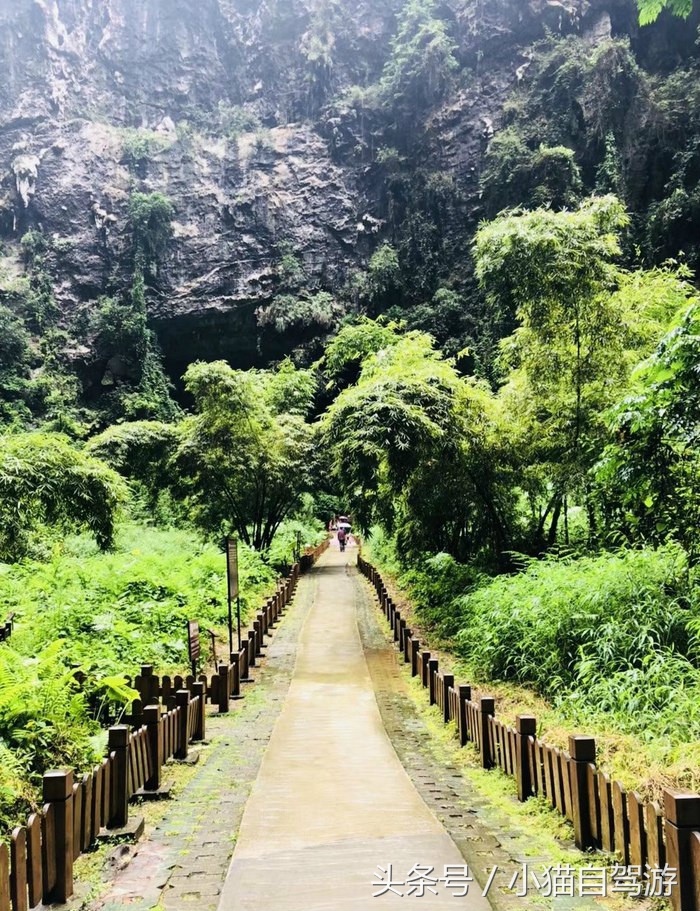 广东游客探索广西巴马长寿之乡,广西巴马长寿之乡环境怎么样