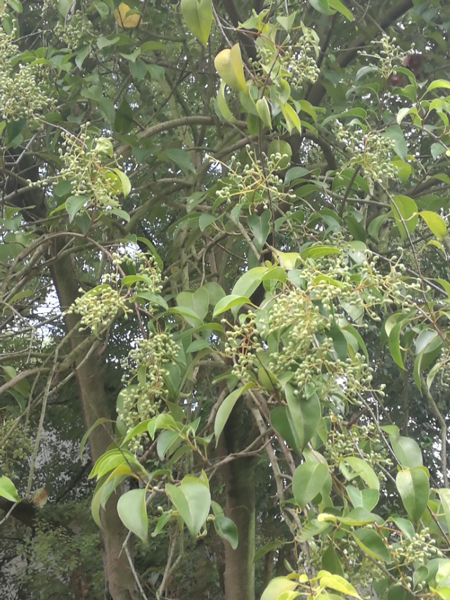 把关爱传递给你最关心的人,对老人最好的关爱是陪伴