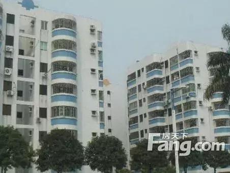 「天天特价房」南海千灯湖好房出售满五唯一单价约12973元/平