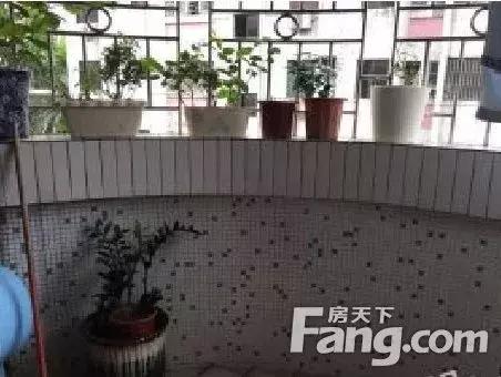 「天天特价房」南海千灯湖好房出售满五唯一单价约12973元/平