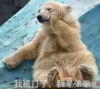 打折了打折了，一票金币战舰打折待售中，亚棍洛阳沙恩等你带回家