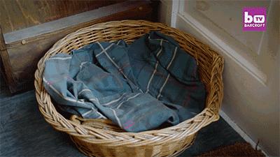 这家怪物用品商店一本正经的胡说八道，背后是竟然他们