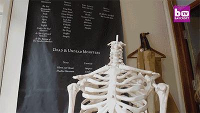 这家怪物用品商店一本正经的胡说八道，背后是竟然他们