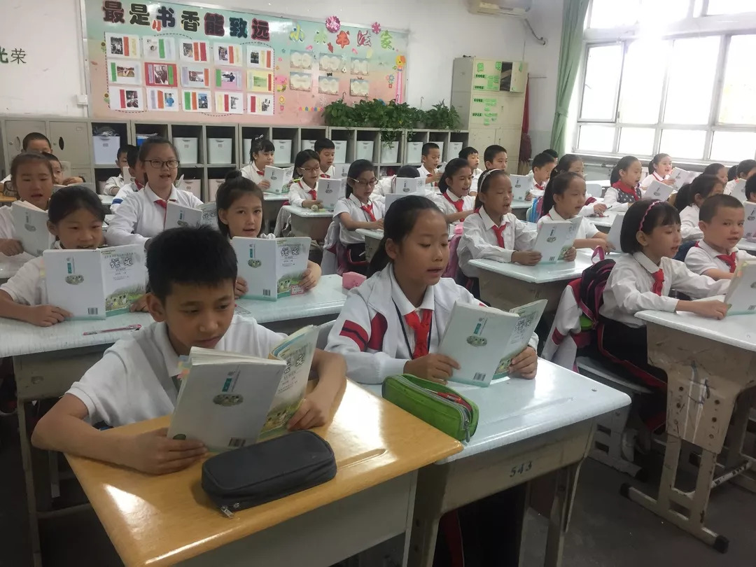 推广普通话主题活动小学,小手牵大手学讲普通话活动方案