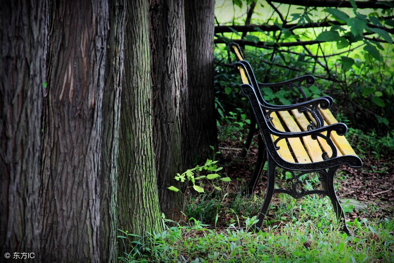 快速解除生气的四个小方法,如何缓解自己的生气愤怒等情绪