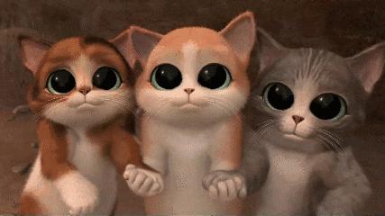 Foodie君9月魔都大牌水果茶评测新鲜出炉!整整8家!不信你喝不够