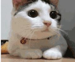 清理血管垃圾你知道几种方法 (到底有没有清理血管垃圾的方法)