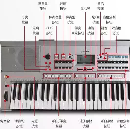 考级用琴,电子琴考级推荐用琴