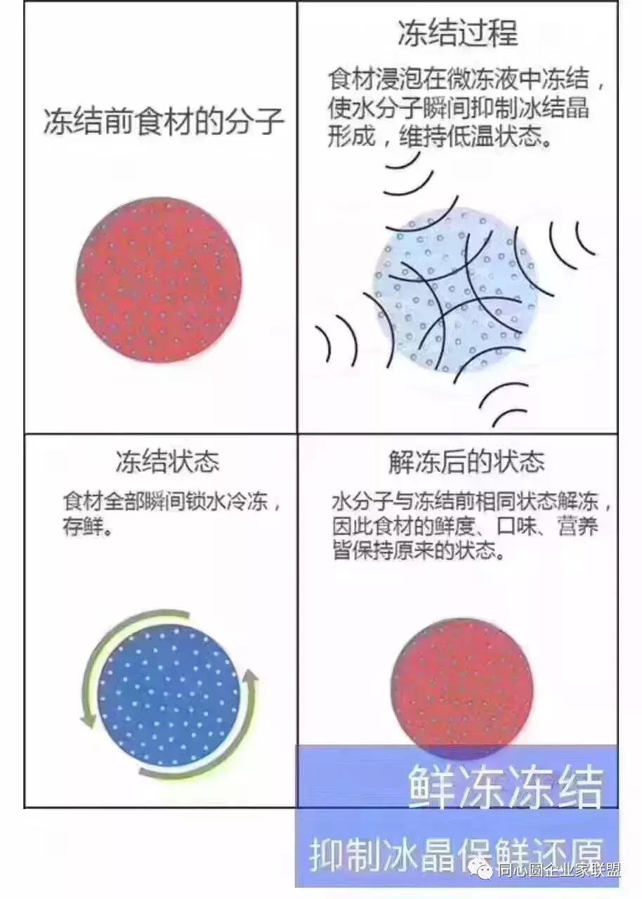 四季汇鲜“新鲜、美味、安全”扬州首家鲜冻食品门店