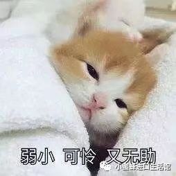 第一次吃山竹搞笑,第一次吃山竹搞笑视频