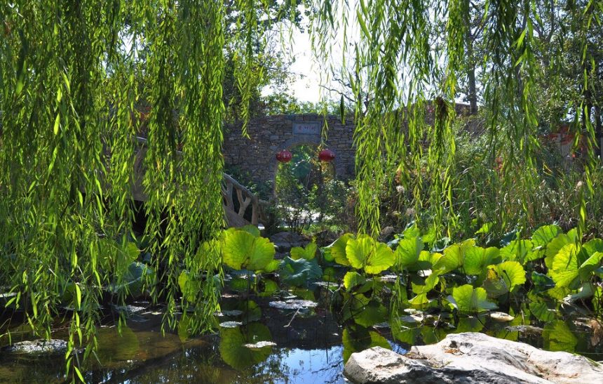 璇椾汉寮犵窘,寮犵窘姹熻タ