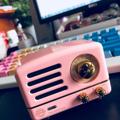 怎么选猫王有什么技巧,怎么选择适合自己的猫