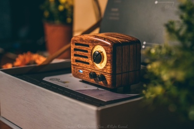 怎么选猫王有什么技巧,怎么选择适合自己的猫