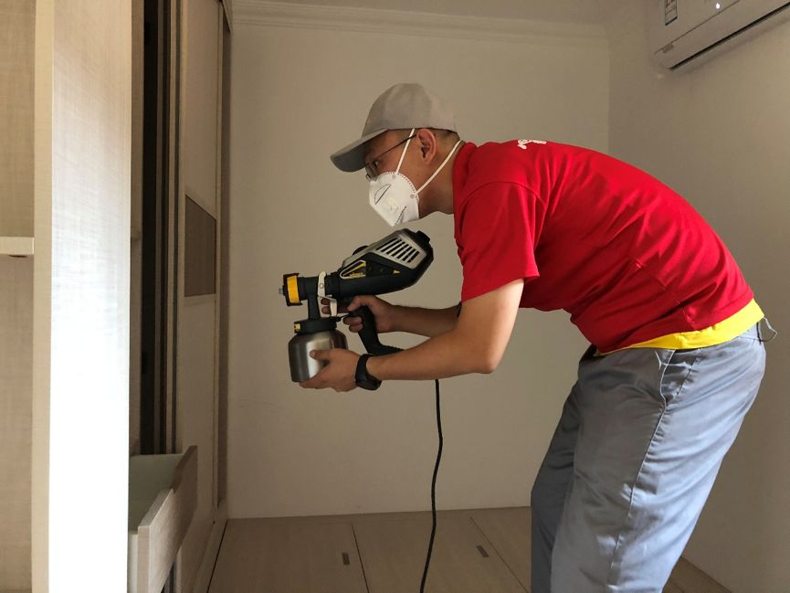 甲醛超标绿萝叶子会变黄吗,房间甲醛超标绿萝会怎样