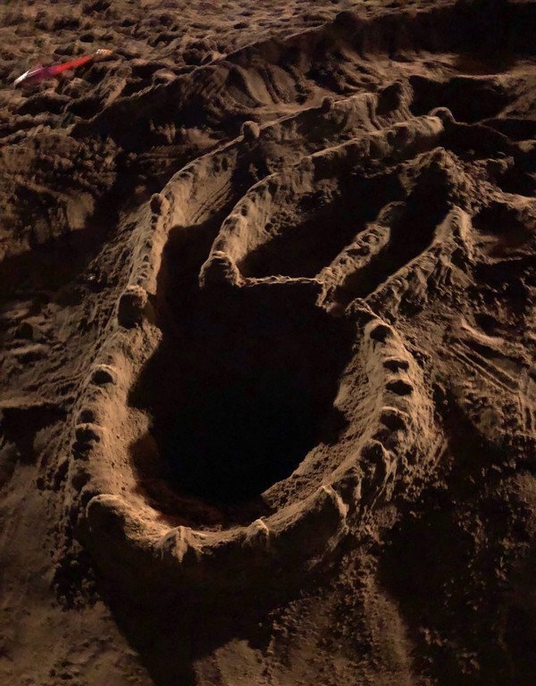 海的味道英语,海的味道男声