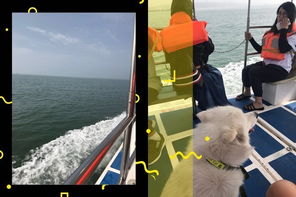 海的味道英语,海的味道男声