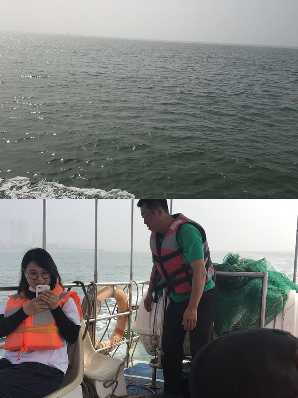 海的味道英语,海的味道男声