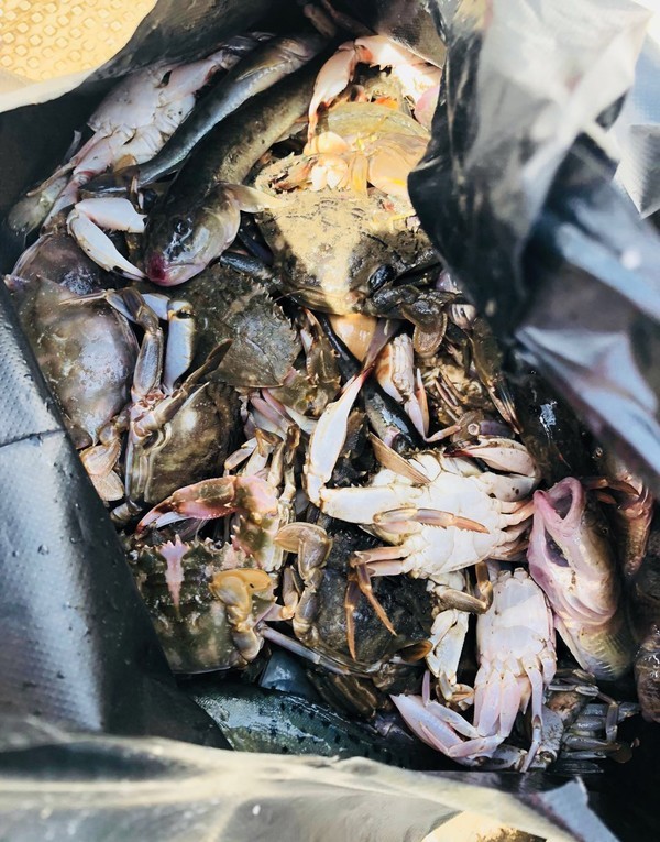 海的味道英语,海的味道男声