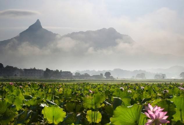 安徽太湖县，大别山老区，全国贫困县，天人视野下的诺亚方舟