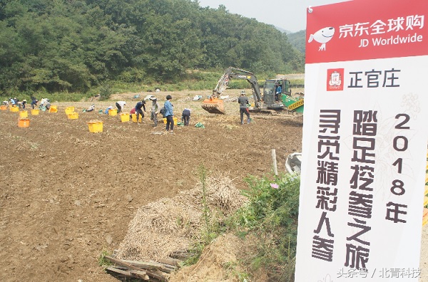 浜笢姝e畼搴勬捣澶栨棗鑸板簵,浜笢姝e畼搴勬棗鑸板簵