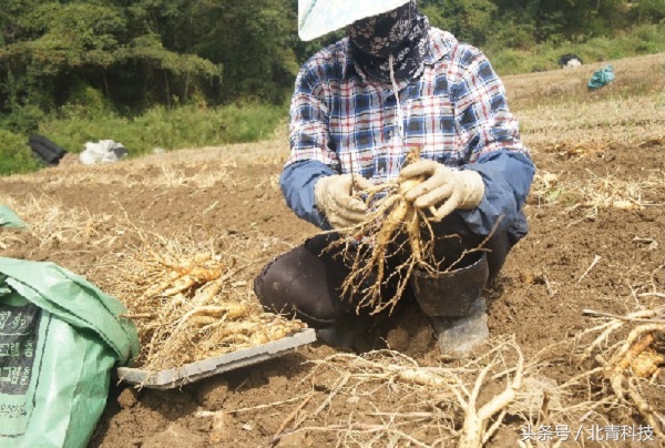 浜笢姝e畼搴勬捣澶栨棗鑸板簵,浜笢姝e畼搴勬棗鑸板簵