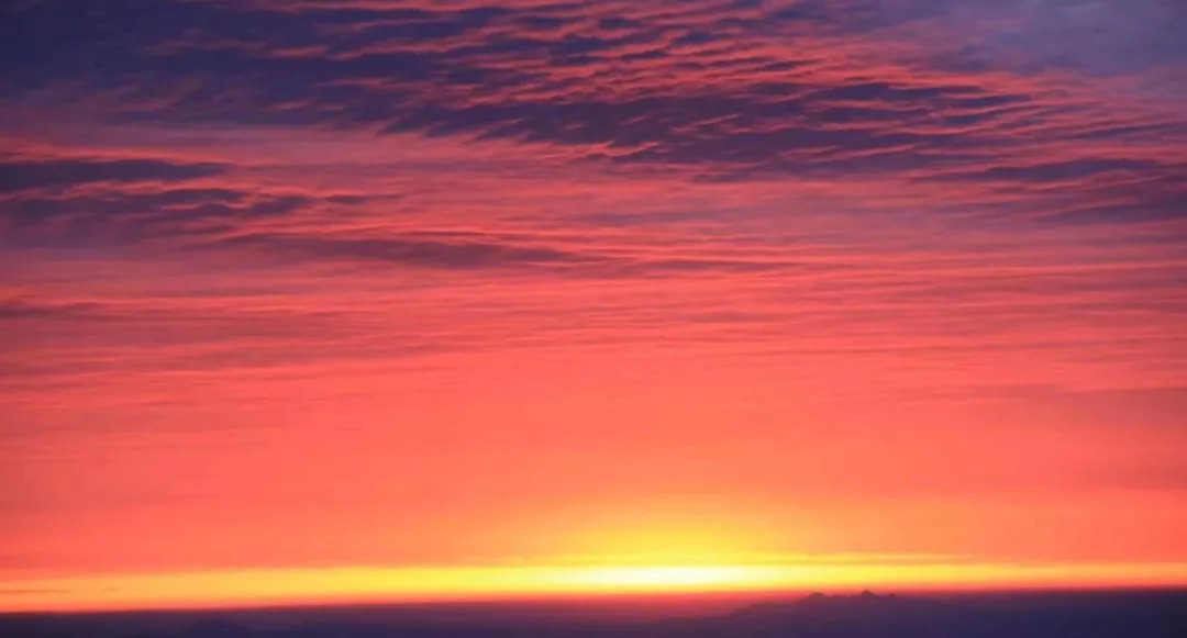 想做护士应该学什么专业,想做护士要考什么