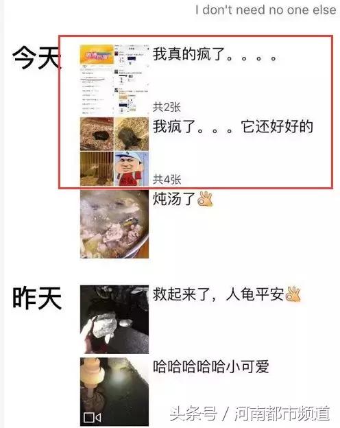 没有感情的广东人！台风天救起的乌龟，第二天就炖汤啦？