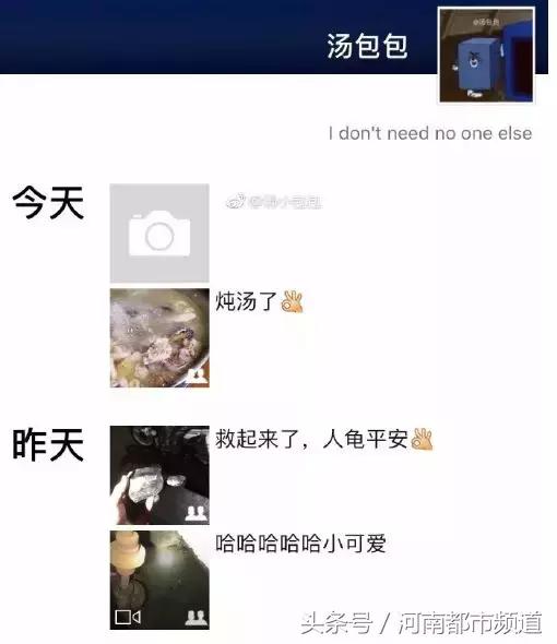 没有感情的广东人！台风天救起的乌龟，第二天就炖汤啦？