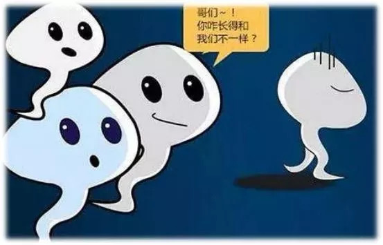 想要怀孕怎么样才能快速怀孕,想要快速怀孕教你四个小妙招