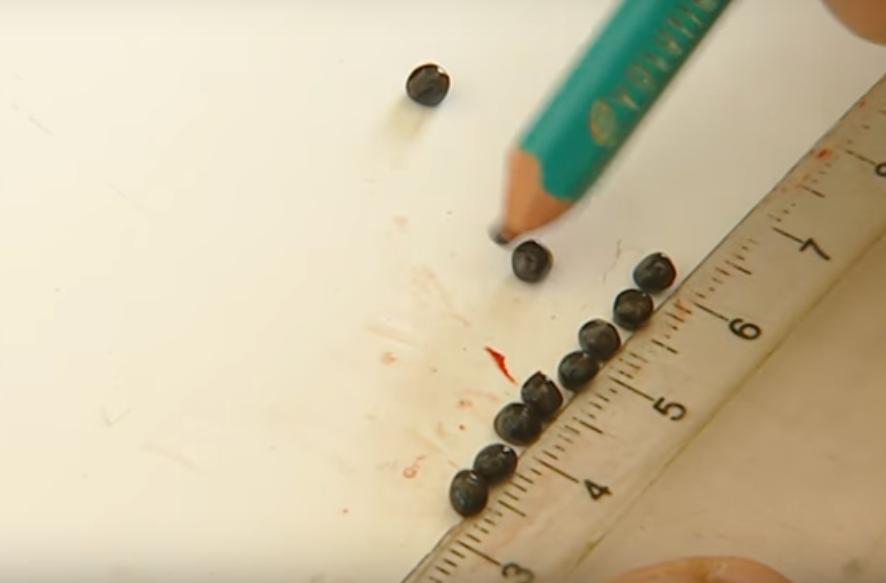 顶级鱼子酱美食,四大美食之一的鱼子酱