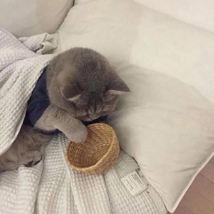 微信朋友圈背景图粉色吉他,微信壁纸背景图高级感粉色