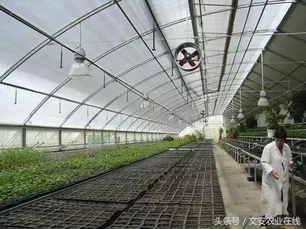 温室大棚有哪些优缺点,史上最全的温室大棚知识大盘点