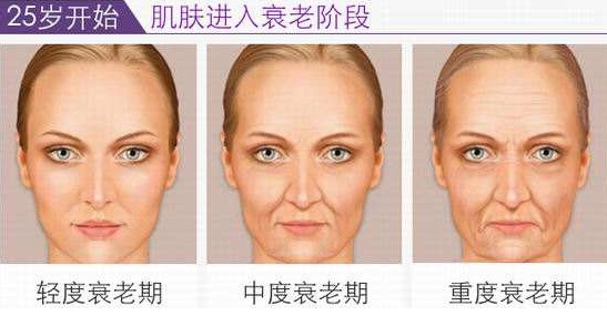 丸美弹力蛋白适合油皮,丸美弹力蛋白凝时紧致系列专柜价