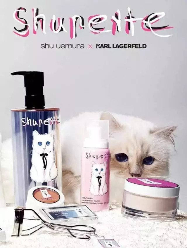 今天给你们看看那些闲得要命、富得流油的猫！