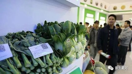 什么是溯源信息,什么是溯源检测