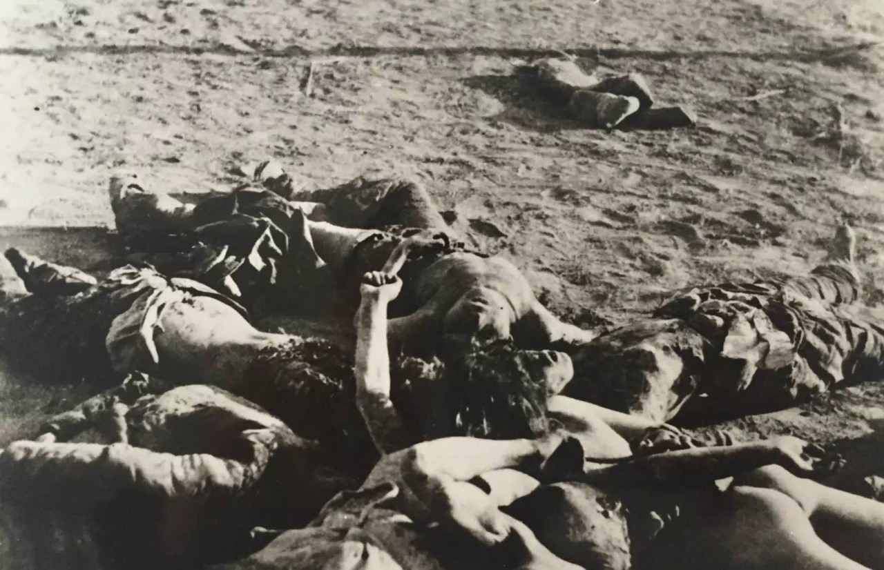 刚刚!这组照片震撼了530万吉安人的心……