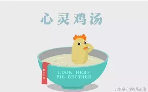 入门级吉他初学者,超适合零基础吉他新手的倔强