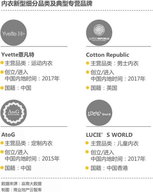 传统内衣品牌前景,又一内衣品牌将发力中国市场