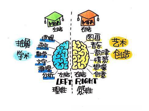 脑科学为什么要让孩子有安全感,脑科学思维训练对孩子一生的影响