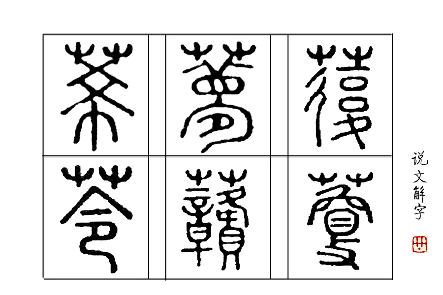 说文解字第28讲,说文解字第69课
