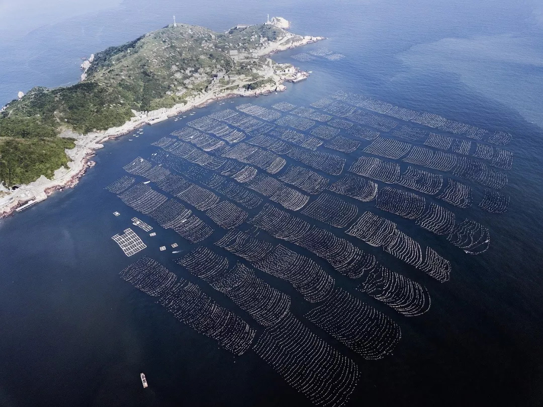 没有256G的胃，还敢到东海嗑海鲜？